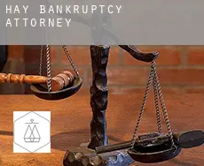 Hay bankruptcy attorney