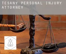 Těšany personal injury attorney
