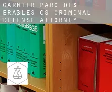 Garnier-Parc-des-Érables (census area)  criminal defense attorney