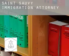 Saint-Sauvy  immigration attorney