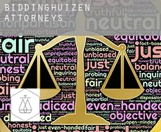 Biddinghuizen  attorneys