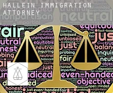 Hallein  immigration attorney