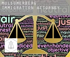 Mulsumerberg  immigration attorney