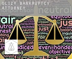 Olizy  bankruptcy attorney