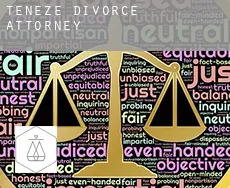 Teneze  divorce attorney