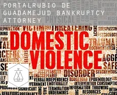 Portalrubio de Guadamejud  bankruptcy attorney