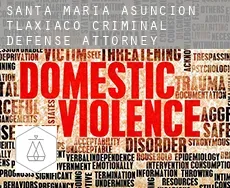 Santa María Asunción Tlaxiaco  criminal defense attorney