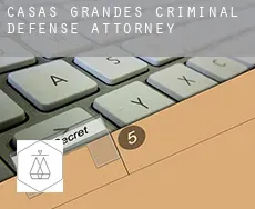 Casas Grandes  criminal defense attorney