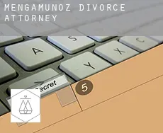 Mengamuñoz  divorce attorney