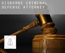 Gisborne  criminal defense attorney