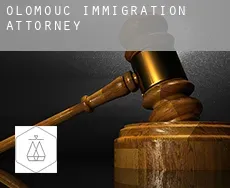 Olomouc  immigration attorney