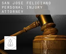 San José de Feliciano  personal injury attorney
