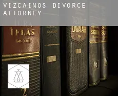 Vizcaínos  divorce attorney