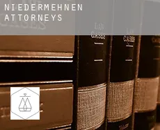Niedermehnen  attorneys