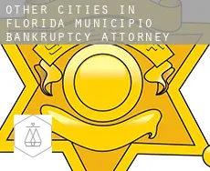 Other cities in Florida Municipio  bankruptcy attorney