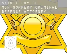 Sainte-Foy-de-Montgommery  criminal defense attorney