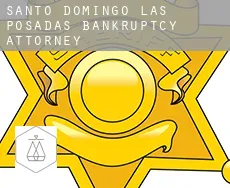 Santo Domingo de las Posadas  bankruptcy attorney