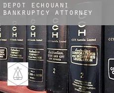 Dépôt-Échouani  bankruptcy attorney