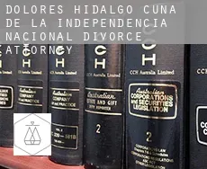 Dolores Hidalgo Cuna de la Independencia Nacional  divorce attorney
