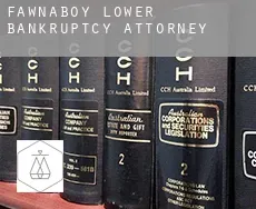 Fawnaboy Lower bankruptcy attorney
