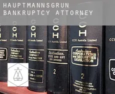 Hauptmannsgrün  bankruptcy attorney