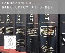 Landmannsdorf  bankruptcy attorney