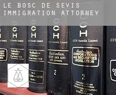Le Bosc de Sévis  immigration attorney