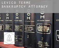 Levico Terme  bankruptcy attorney