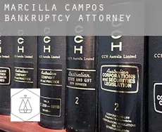 Marcilla de Campos  bankruptcy attorney