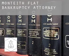 Monteith Flat bankruptcy attorney