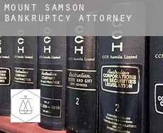 Mount Samson  bankruptcy attorney