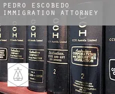 Pedro Escobedo  immigration attorney