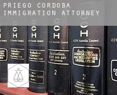 Priego de Córdoba  immigration attorney