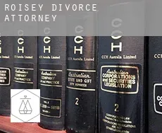 Roisey  divorce attorney