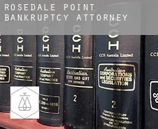 Rosedale Point  bankruptcy attorney