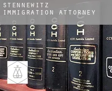 Stennewitz  immigration attorney