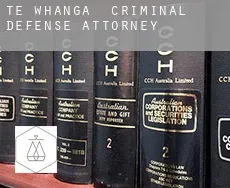 Te Whanga criminal defense attorney