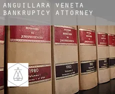 Anguillara Veneta  bankruptcy attorney