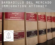 Barbadillo del Mercado  immigration attorney