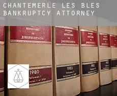 Chantemerle-les-Blés bankruptcy attorney