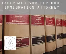 Fauerbach vor der Höhe  immigration attorney