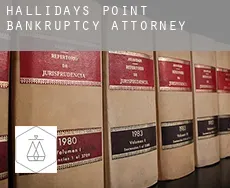 Hallidays Point  bankruptcy attorney