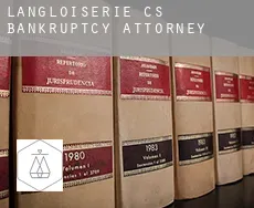 Langloiserie (census area)  bankruptcy attorney