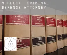 Mühleck  criminal defense attorney
