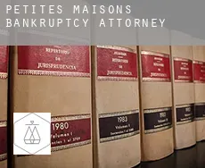 Petites Maisons  bankruptcy attorney