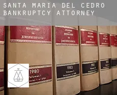 Santa Maria del Cedro  bankruptcy attorney