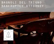 Bagnoli del Trigno  bankruptcy attorney
