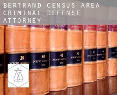 Bertrand (census area)  criminal defense attorney
