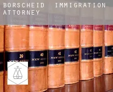 Borscheid  immigration attorney
