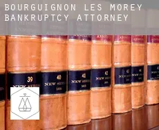 Bourguignon-lès-Morey  bankruptcy attorney